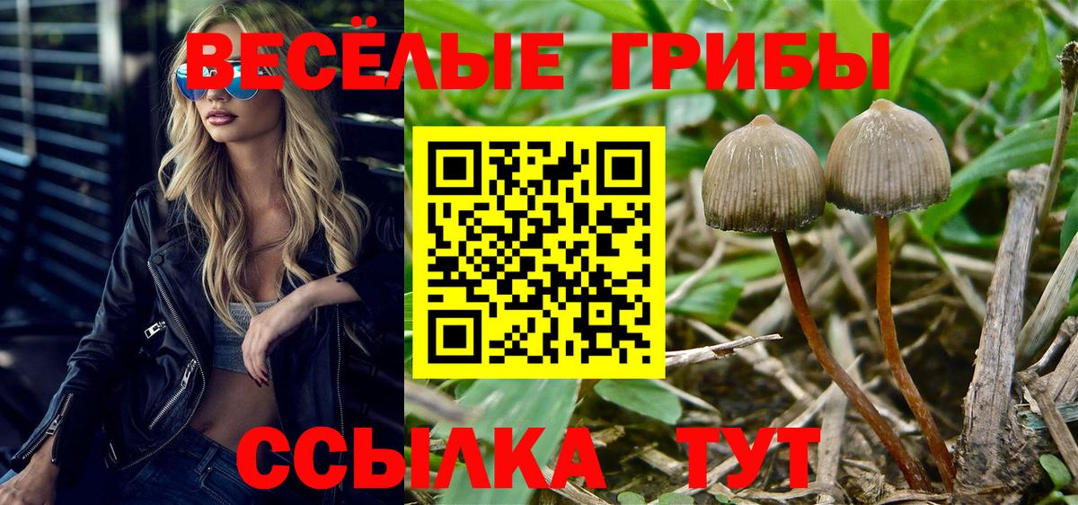 Галлюциногенные грибы мухоморы Кимры
