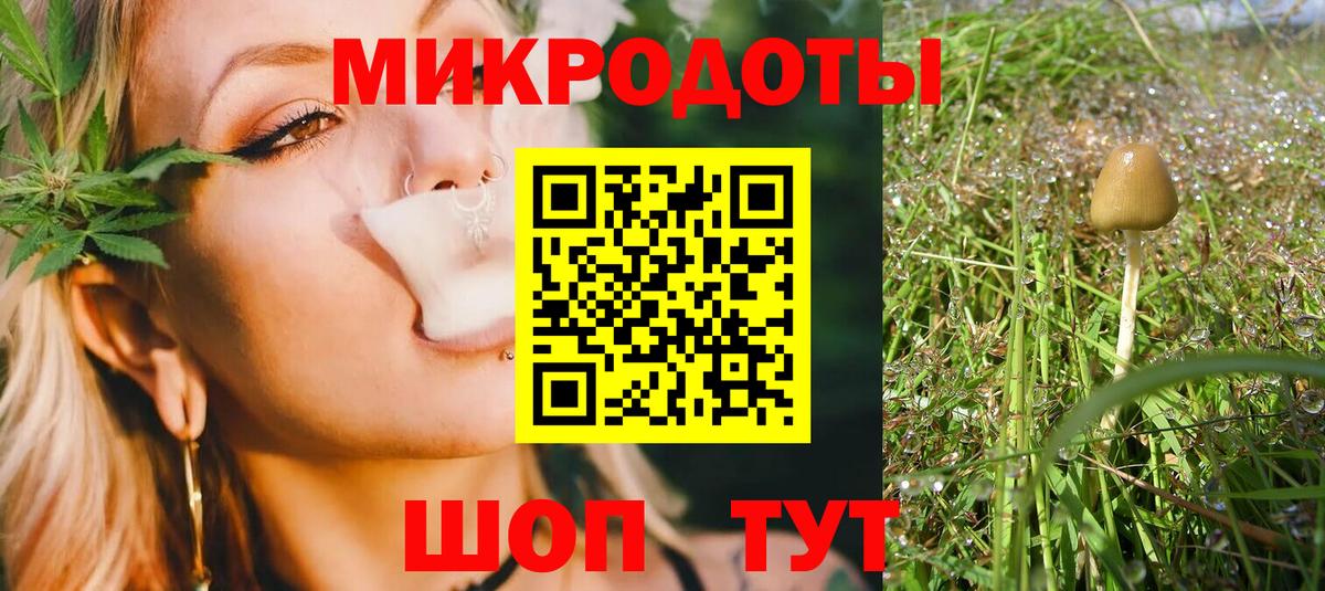 Псилоцибиновые грибы Cubensis  Вход с VPN  Кимры 